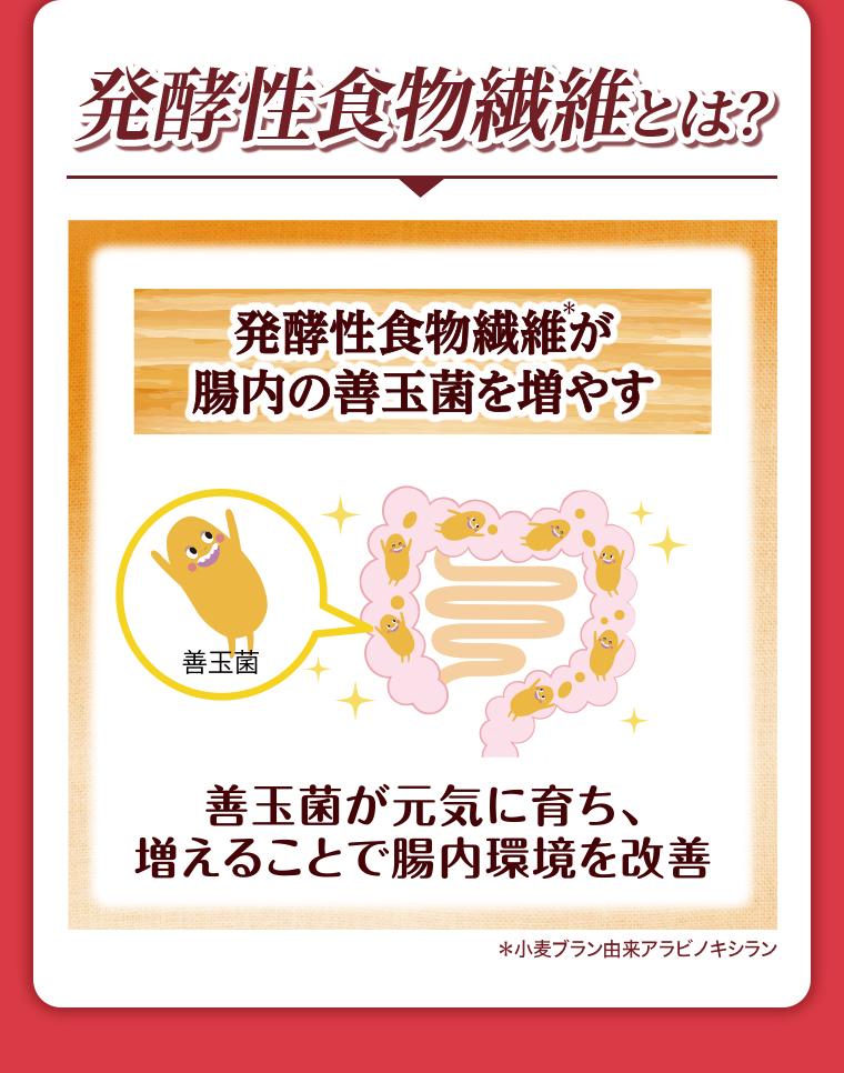 発酵性食物繊維とは?発酵性食物繊維が腸内の善玉菌を増やす　善玉菌が元気に育ち、増えることで腸内環境を改善*小麦ブラン由来アラビノキシラン