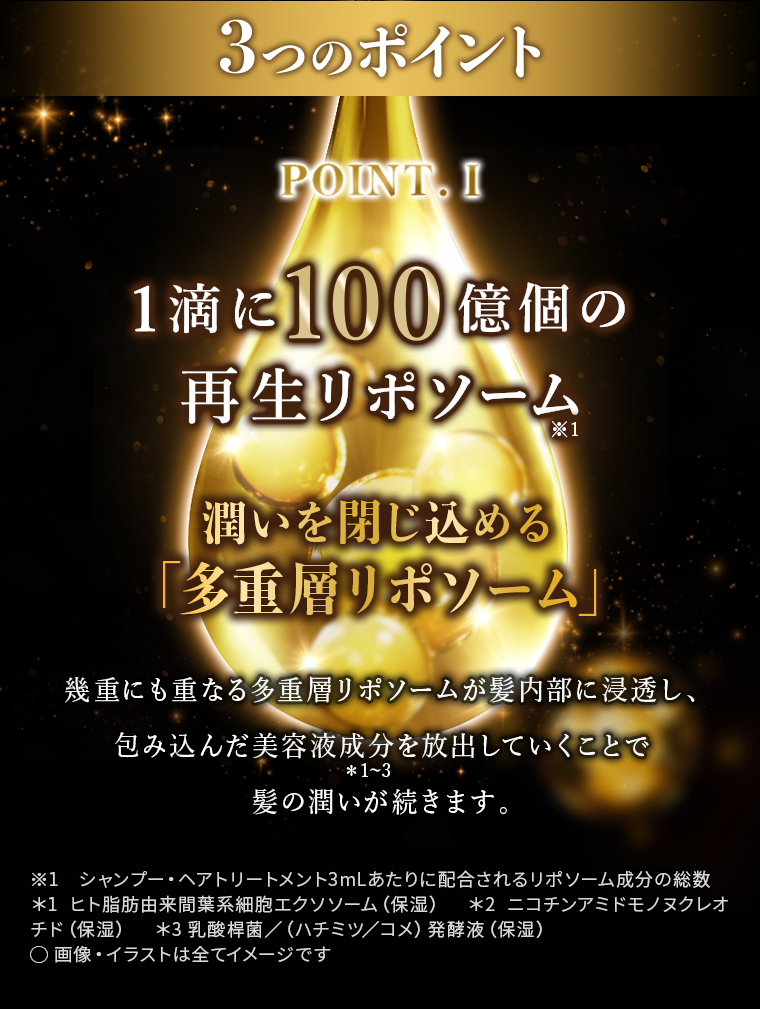 3つのポイント　POINT. I 1滴に100億個の再生リポソーム 潤いを閉じ込める「多重層リポソーム」幾重にも重なる多重層リポソームが髪内部に浸透し、包み込んだ美容液成分を放出していくことで髪の潤いが続きます。