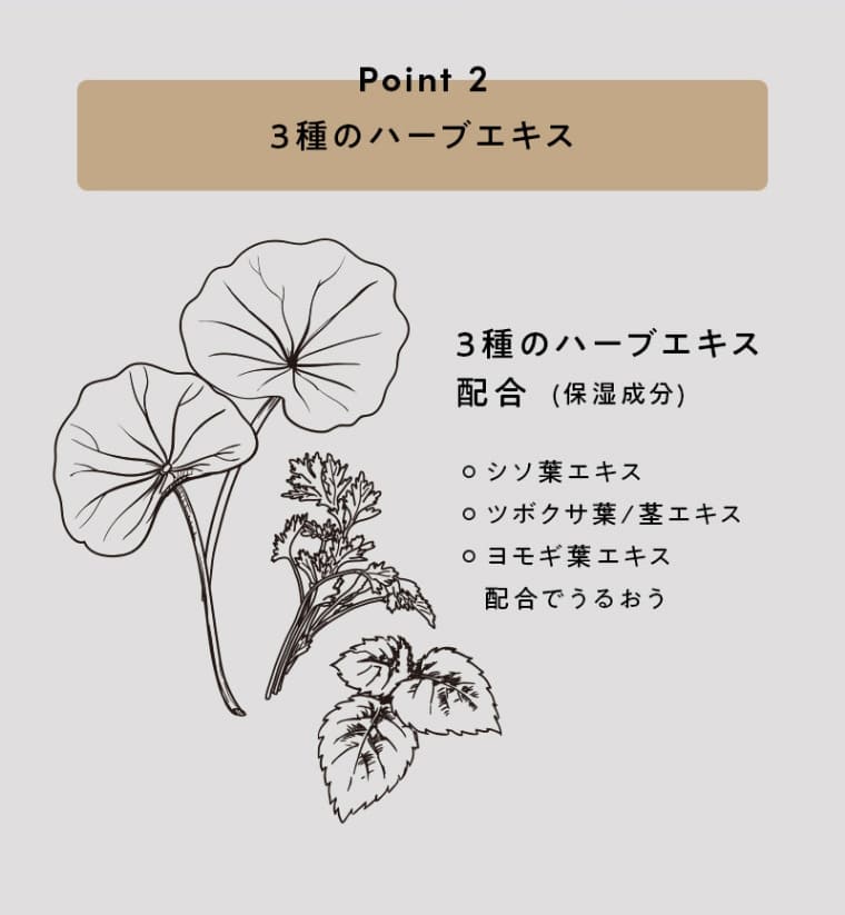 Point 2　3種のハーブエキス配合（保湿成分）・シソ葉エキス・ツボクサ葉／茎エキス・ヨモギ葉エキス配合でうるおう