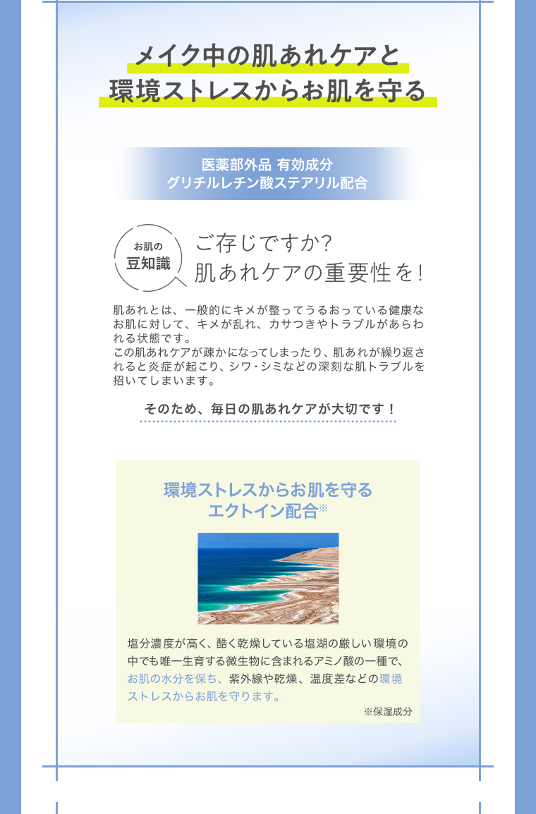 メイク中の肌あれケアと環境ストレスからお肌を守る 環境ストレスからお肌を守るエクトイン配合 くずれ&乾燥防止 Wモイスト毛穴ケアエイジツエキス&アーティチョークエキス配合 