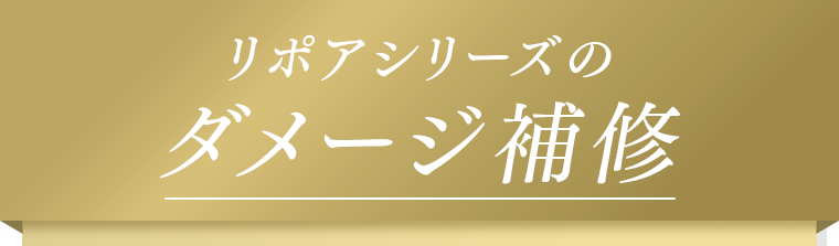 リポアシリーズのダメージ補修