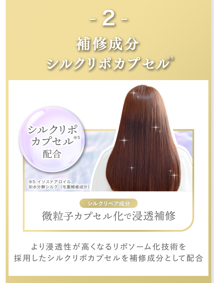 －2－　補修成分シルクリポカプセル