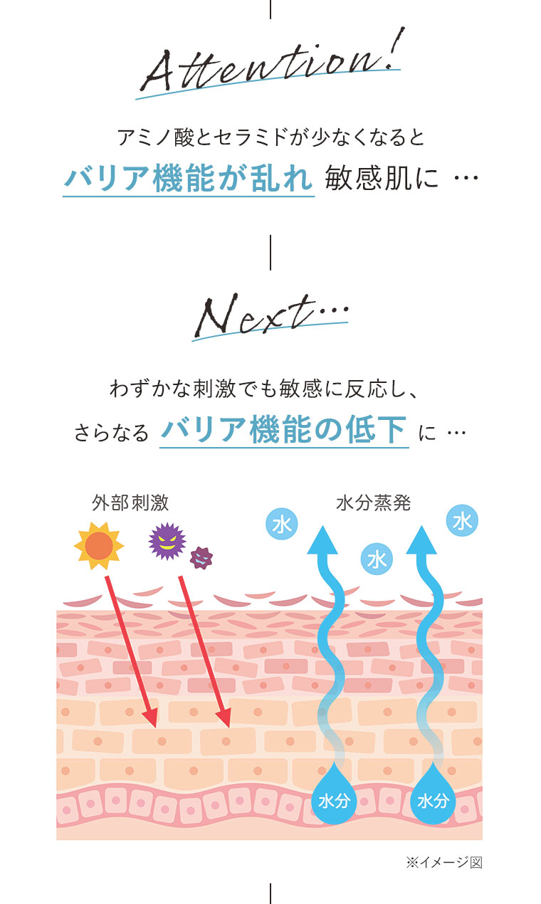アミノ酸とセラミドが少なくなるとバリア機能が乱れ敏感肌に…