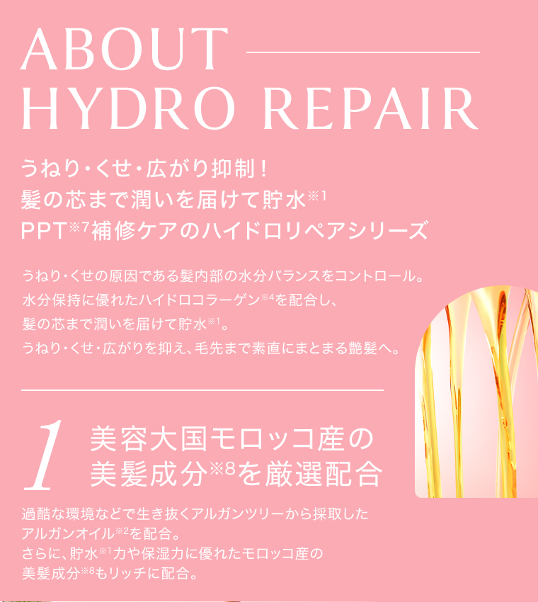 ABOUT HYDRO REPAIR 1 美容大国モロッコ産の美髪成分を厳選配合