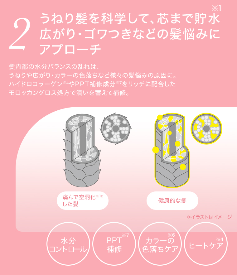 2 うねり髪を科学して、芯まで貯水広がり・ゴワつきなどの髪悩みにアプローチ