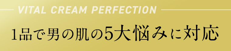 VITAL CREAM PERFECTION 1品で男の肌の5大悩みに対応