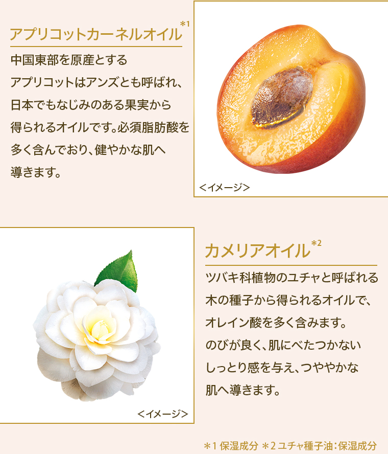 アプリコットカーネルオイル カメリアオイル