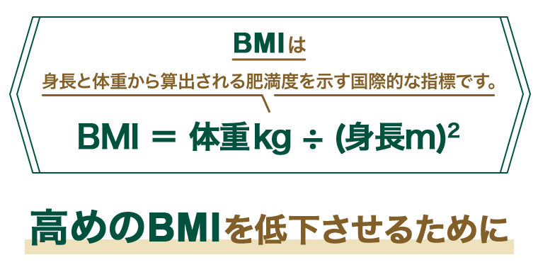 高めのBMIを低下させるために