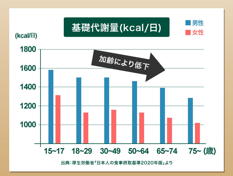 基礎代謝量
