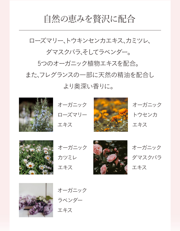 自然の恵みを贅沢に配合　ローズマリー、トウキンセンカエキス、カミツレ、
                                        ダマスクバラ、そしてラベンダー。5つのオーガニック植物エキスを配合。
                                        また、フレグランスの一部に天然の精油を配合しより奥深い香りに。