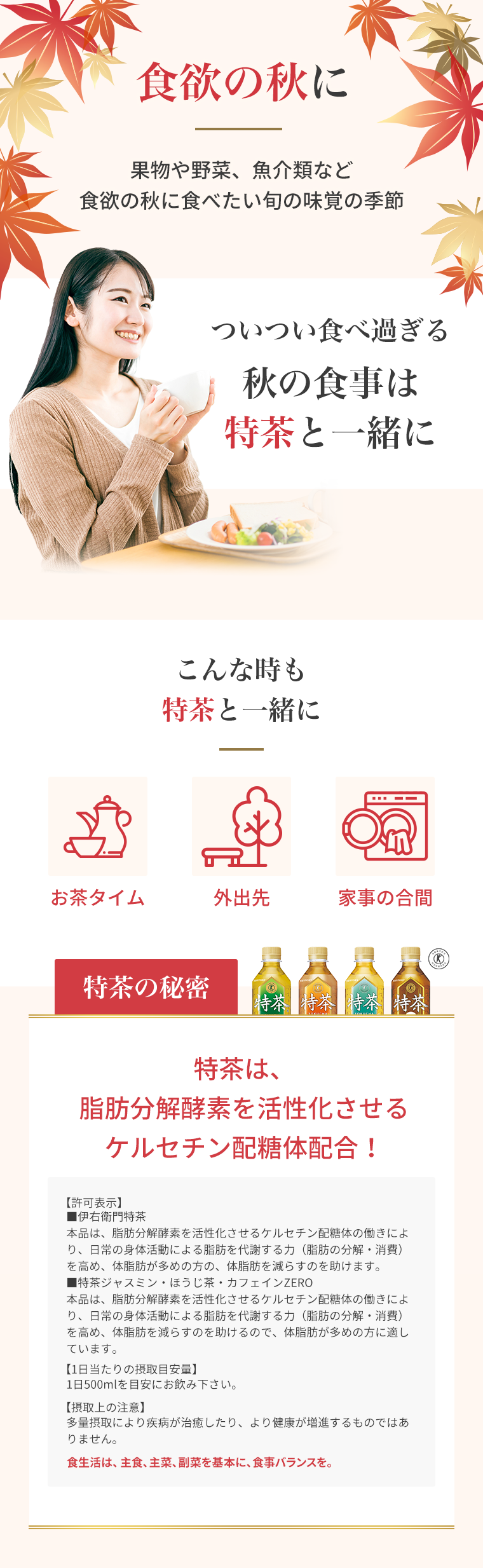 食欲の秋に果物や野菜、魚介類など食欲の秋に食べたい旬の味覚の季節