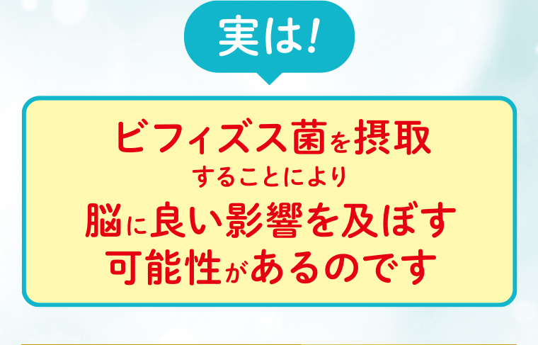 実は！ビフィズス菌を摂取することにより脳に良い影響を及ぼす可能性があるのです