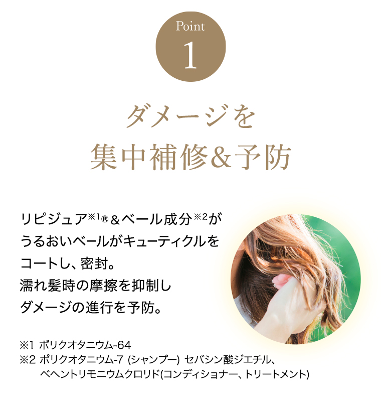 Point1 ダメージを集中補修&予防