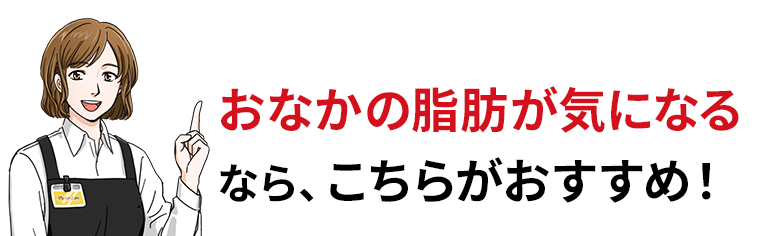 おなかの脂肪が気になるなら、こちらがおすすめ！