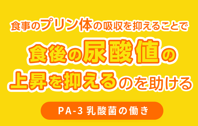 食事のプリン体の吸収を抑えることで食後の尿酸値の上昇を抑えるのを助ける【PA-3乳酸菌の働き】
