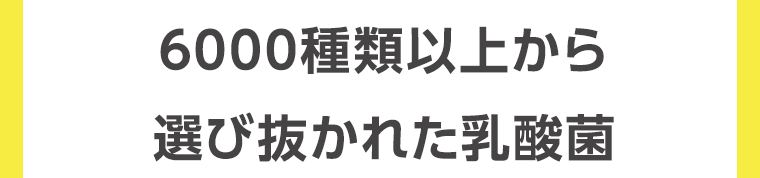 6000種類以上から選び抜かれた乳酸菌