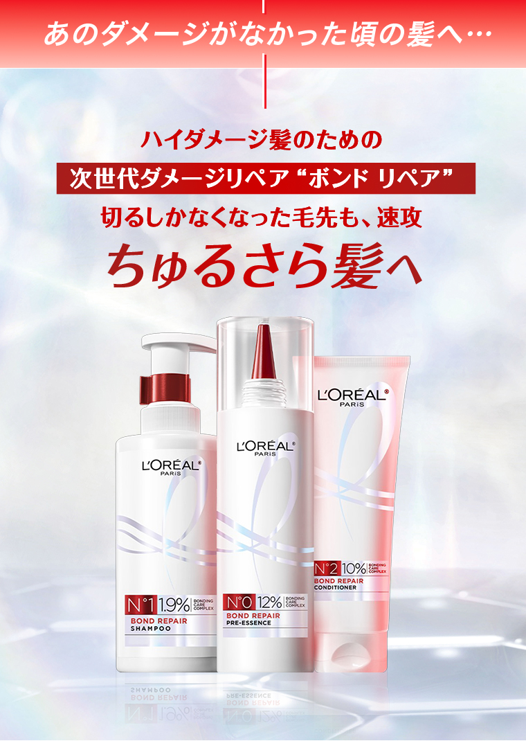 あのダメージがなかった頃の髪へ・・・