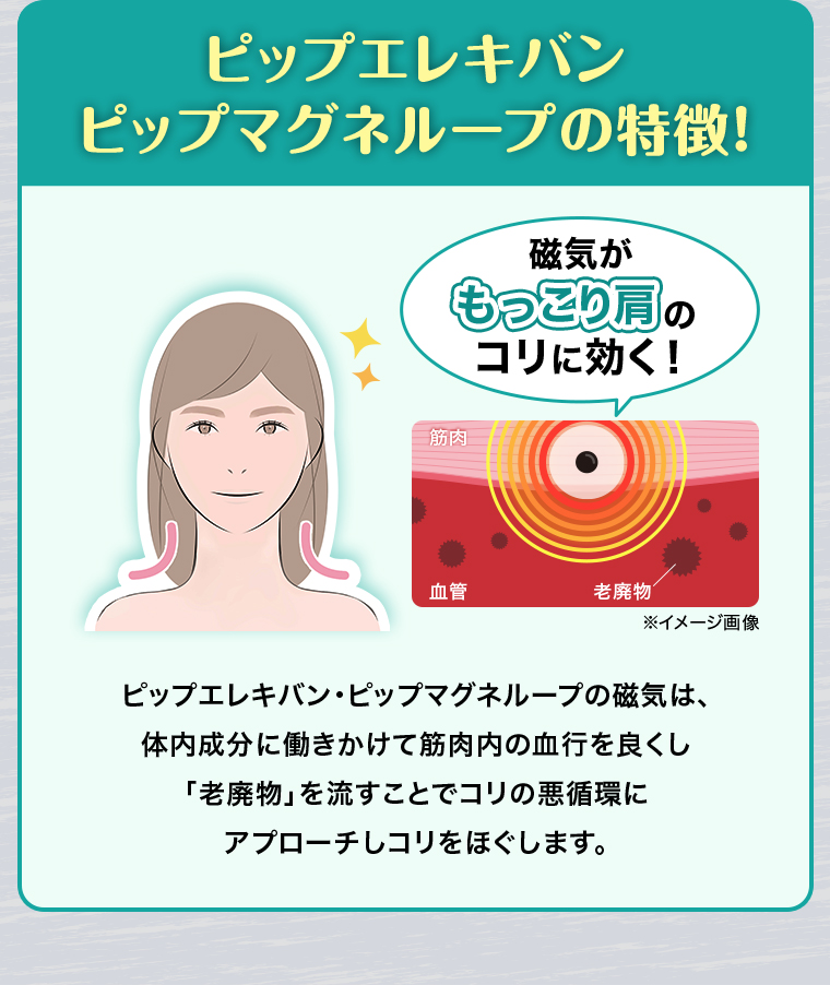 ピップエレキバン ピップマグネループの特徴！