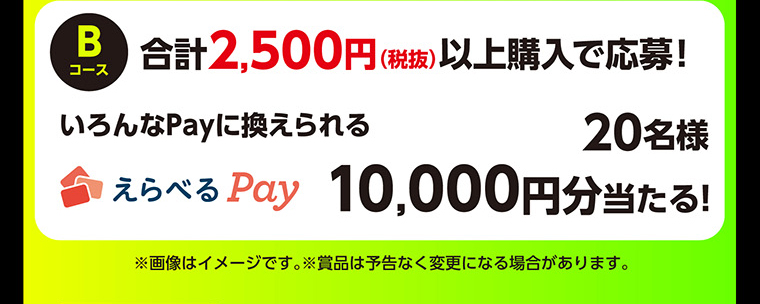 Bコース　合計2,500円（税抜）以上購入で応募！　いろんなPayに換えられるえらべるPay10,000円分が当たる！　20名様　※画像はイメージです。※賞品は予告なく変更になる場合があります。