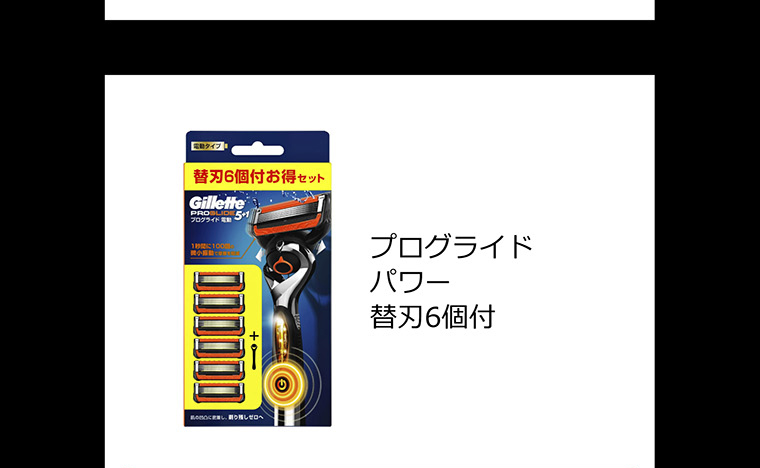 プログライド パワー 替刃6個付