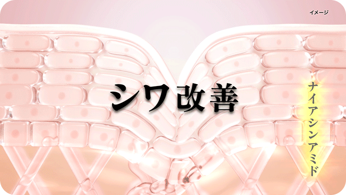 シワ改善　アニメーション