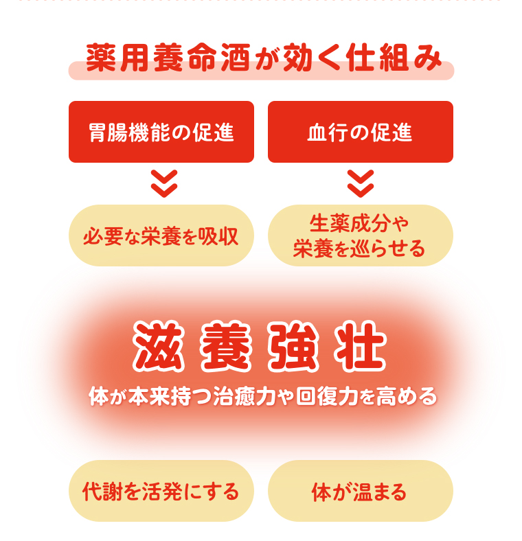 薬用養命酒が効く仕組み