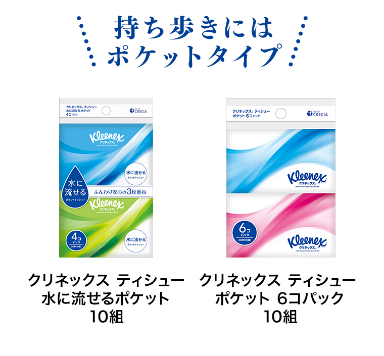 持ち歩きにはポケットタイプ