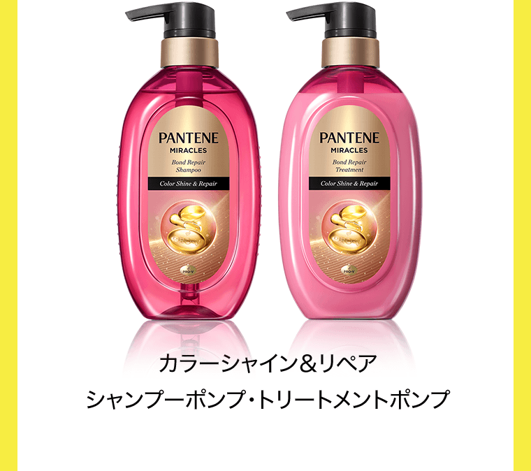 カラーシャイン＆リペア　シャンプーポンプ・トリートメントポンプ