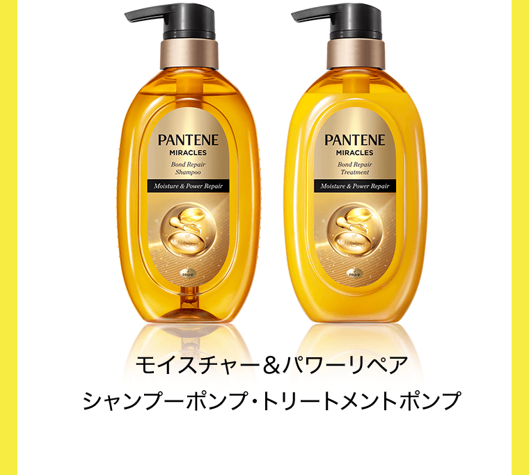 モイスチャー＆パワーリペア　シャンプーポンプ・トリートメントポンプ
