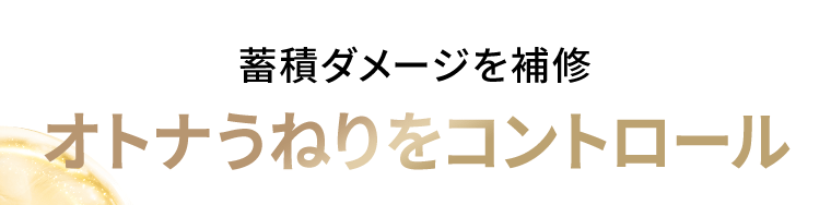 蓄積ダメージを補修　オトナうねりをコントロール