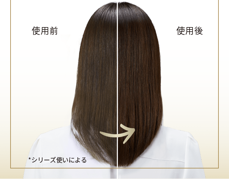 使用前｜使用後　*シリーズ使いによる