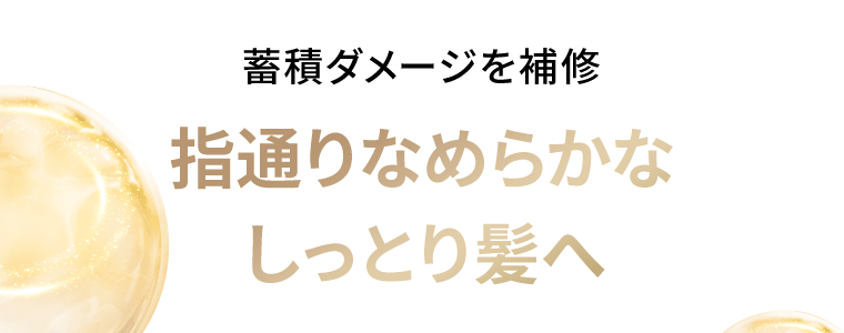 蓄積ダメージを補修　指通りなめらかなしっとり髪にへ