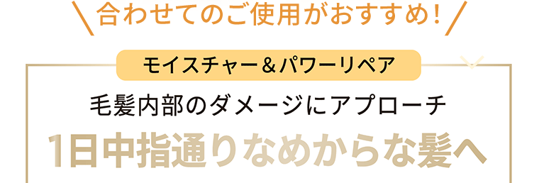 合わせての使用がおすすめ！《モイスチャー＆パワーリペア》毛髪内部のダメージにアプローチ　1日中指通りなめらかな髪へ