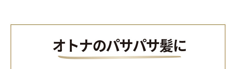 オトナのパサパサ髪に