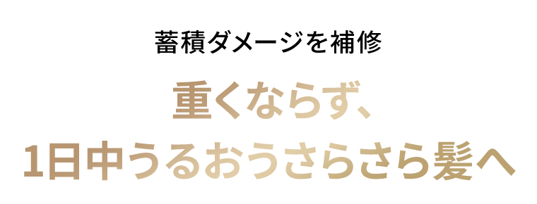 蓄積ダメージを補修　重くならず、1日中うるおうさらさら髪へ　*サルフェート