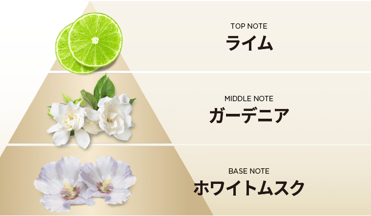 TOP NOTE ライム　MIDDLE NOTE ガーデニア　BASE NOTE ホワイトムスク