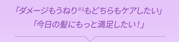「ダメージもうねり※1もどちらもケアしたい」「今日の髪にもっと満足したい！」