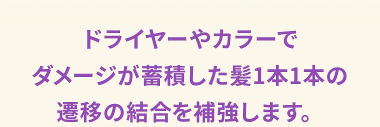 ドライヤーやカラーでダメージが蓄積した髪1本1本の遷移の結合を補強します。