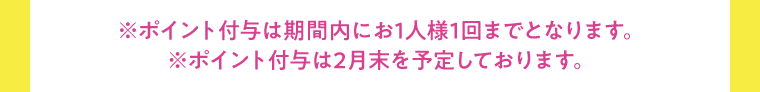 ※ポイント付与は期間内にお1人様1回までとなります。　※ポイント付与は2月末を予定しております。