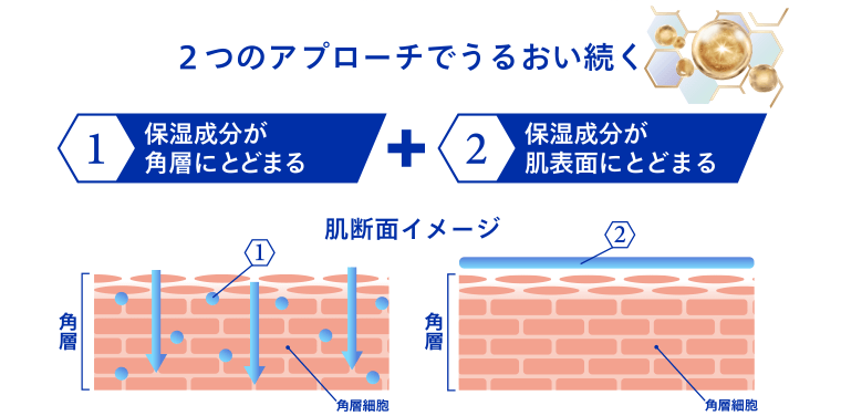 2つのアプローチでうるおい続く　【1】保湿成分が各層にとどまる＋【2】保湿成分が肌表面にとどまる