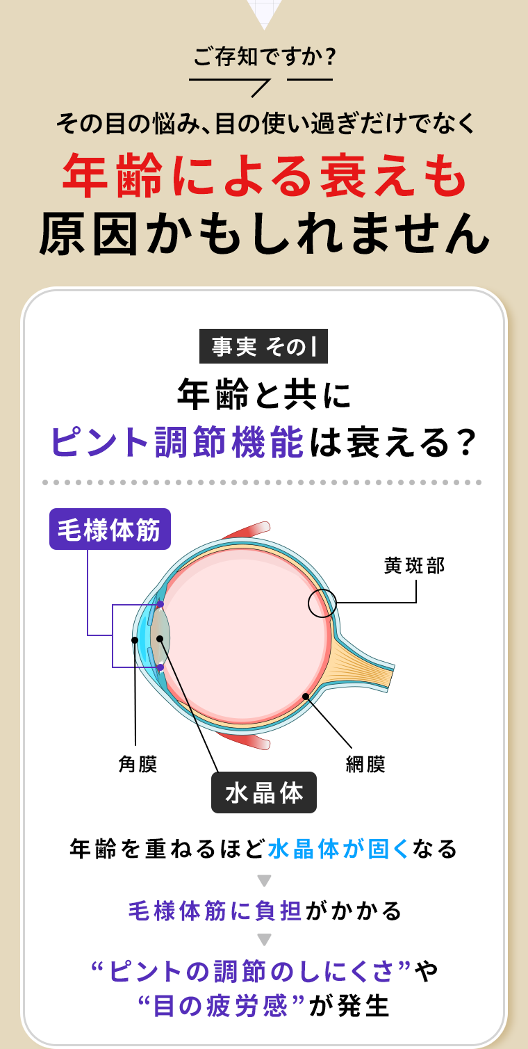 その目の悩み、目の使い過ぎだけでなく年齢による衰えも原因かもしれません
