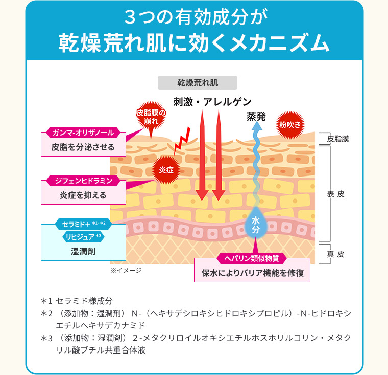 ３つの有効成分が乾燥荒れ肌に効くメカニズム ［ガンマ-オリザノール］「皮脂を分泌させる」 ［ジフェンヒドラミン］「炎症を抑える」 ［セラミド＋＊1＊2 リピジュア＊3］「湿潤剤」 ［ヘパリン類似物質］「保水によりバリア機能を修復」 ＊1 セラミド様成分 ＊2 （添加物：湿潤剤） Ｎ-（ヘキサデシロキシヒドロキシプロピル）-Ｎ-ヒドロキシエチルヘキサデカナミド ＊3 （添加物：湿潤剤）２-メタクリロイルオキシエチルホスホリルコリン・メタクリル酸ブチル共重合体液