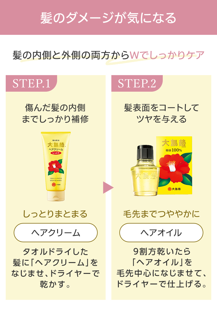 髪のダメージが気になる