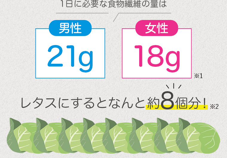 1日に必要な食物繊維の量は男性21g女性18g/レタスにするとなんと約8個分!