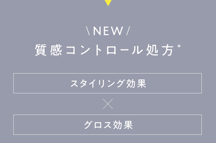NEW　質感コントロール処方