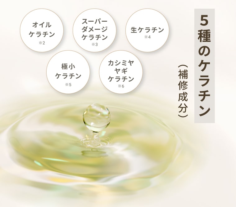 5種のケラチン（補修成分）：オイルケラチン・スーパーダメージケラチン・生ケラチン・極小ケラチン・カシミヤヤギケラチン
