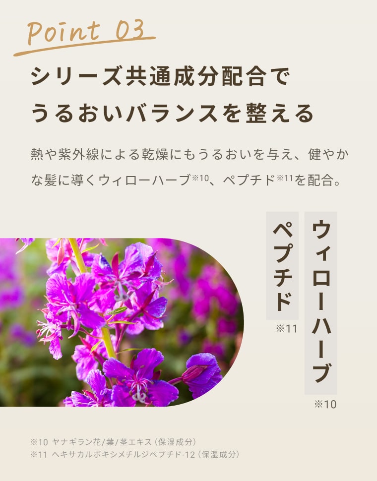 【Point3】シリーズ共通成分配合でうるおいバランスを整える ウィローハーブ・ペプチド