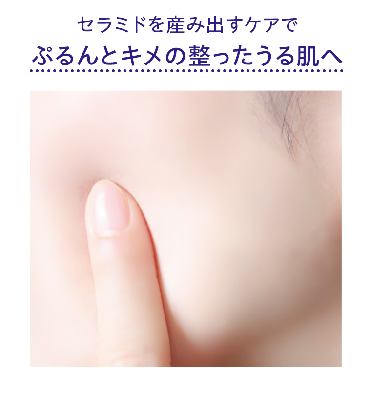 ぷるんとキメの整ったうる肌へ