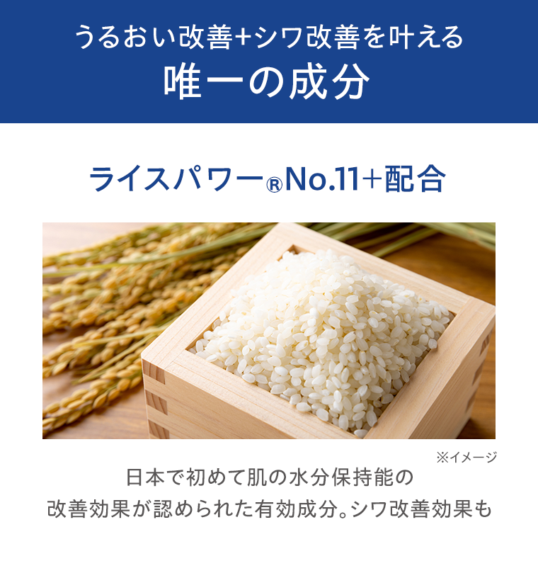 唯一の成分