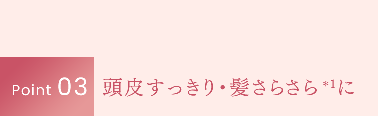 Point 03｜頭皮すっきり・髪さらさら*1に　*保湿剤